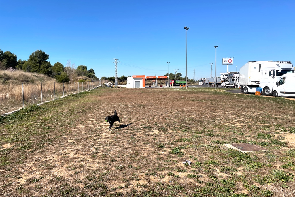 Wiese auf einer Raststätte in Spanien 