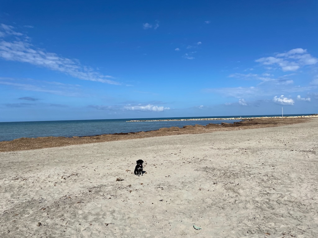 Der Hundestrand von Denia