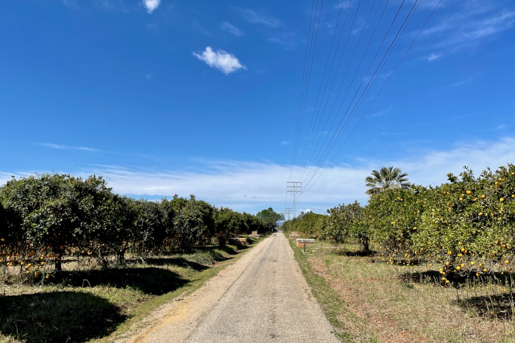 Via Verde zwischen Orangenhainen