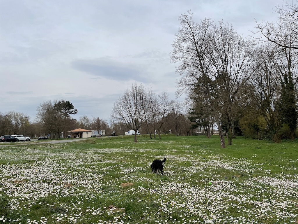 Rastplatz in Frankreich