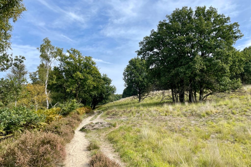 Wanderweg im Naturschutgebiet