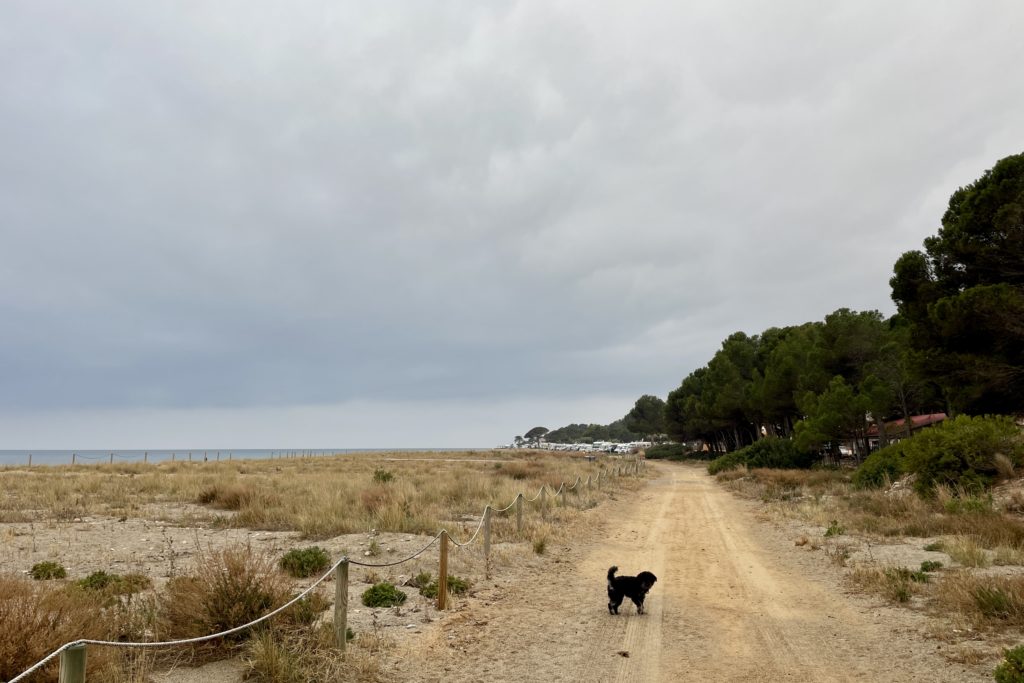 Am Strand von l'Hospitalet de l'Infant