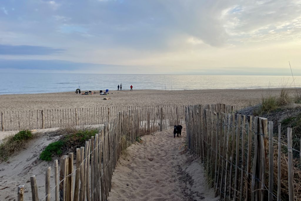 Am Strand von Sérignan