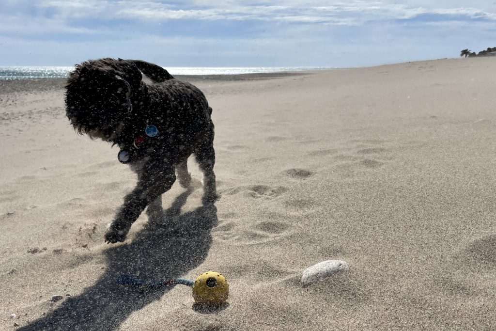 Sandsturm am Strand