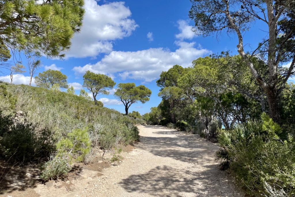 Wanderweg an der Küste