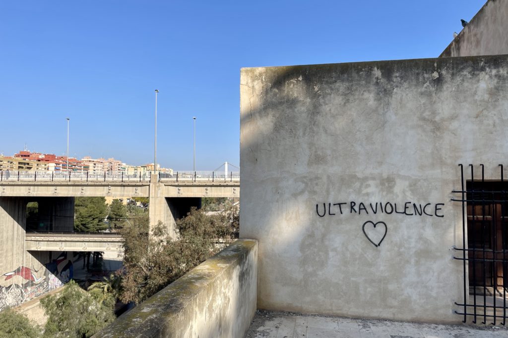 Blick auf Elx /Elche über den Riu Vinalopó