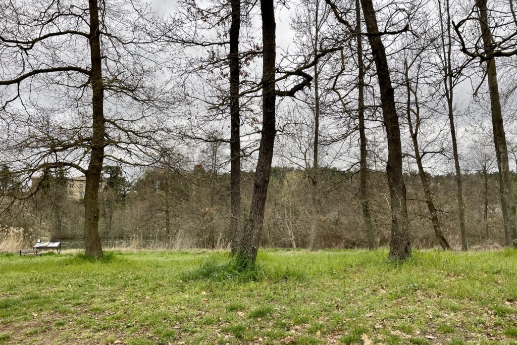 Ausblick beim Frühstück am Étang du Mouchet