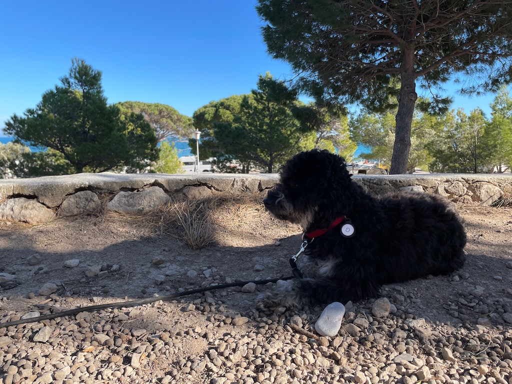 Cala d’Oques