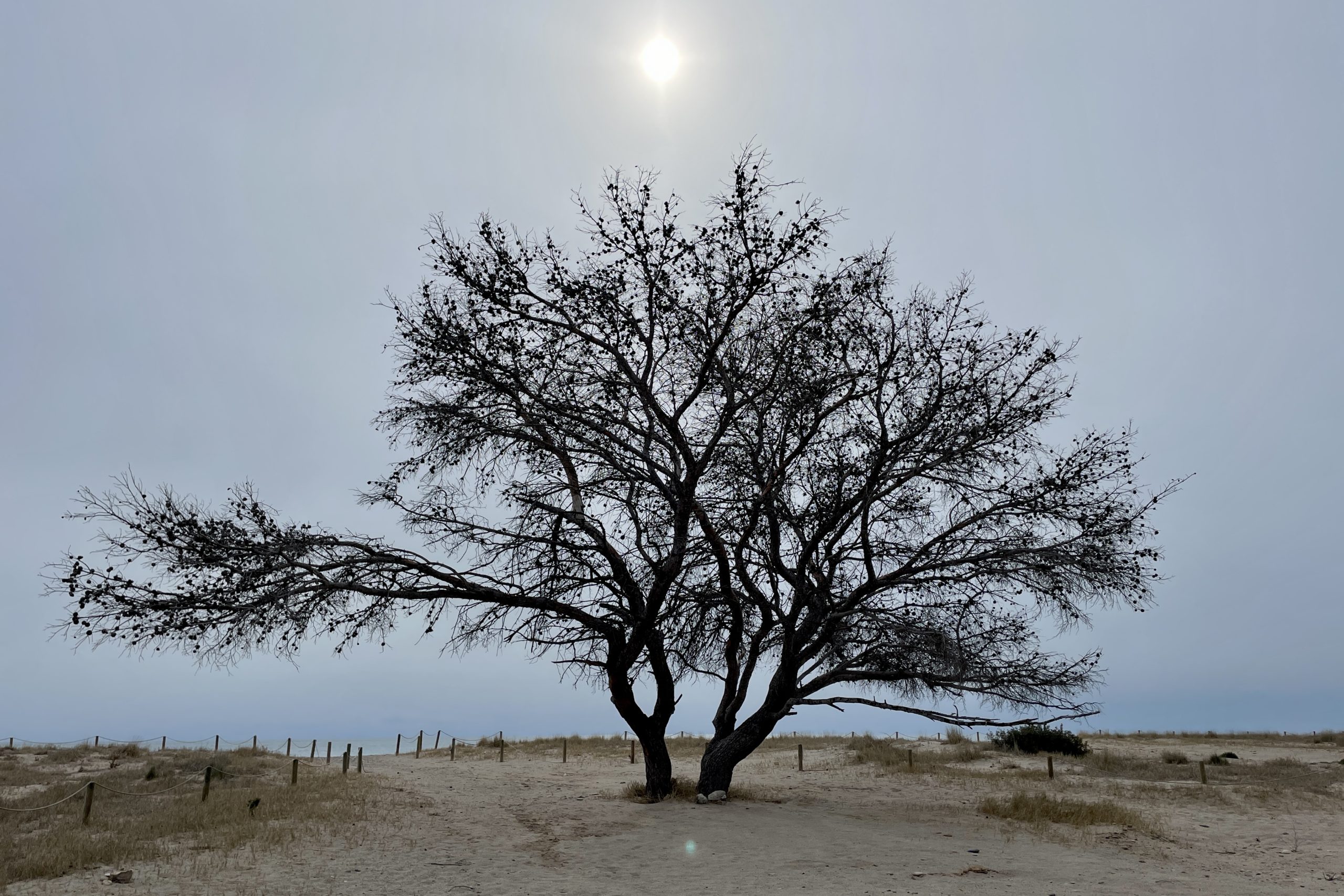 El viento